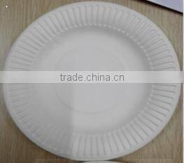 9" disposable white paper cake & food plate