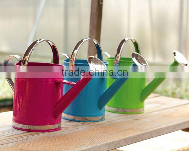 Galvanized Metal Watering Can Eco-friendly Water Bin