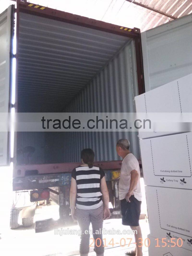 BPA-Free plastic lunch box with fork and sourcing container