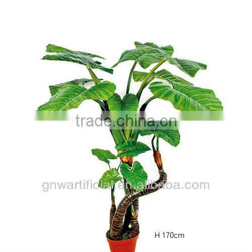 G50 GNW Artificial plants indoor office