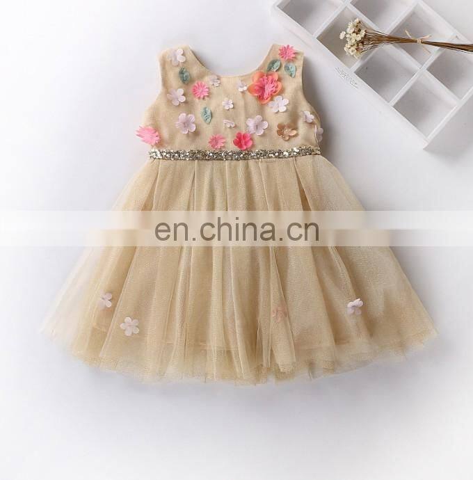 Champagne Flower Baby Girl Dress Sleeveless Petal Tulle Dress Princess Costume