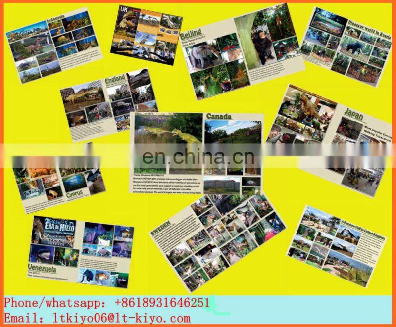 growing dinosaur egg toy