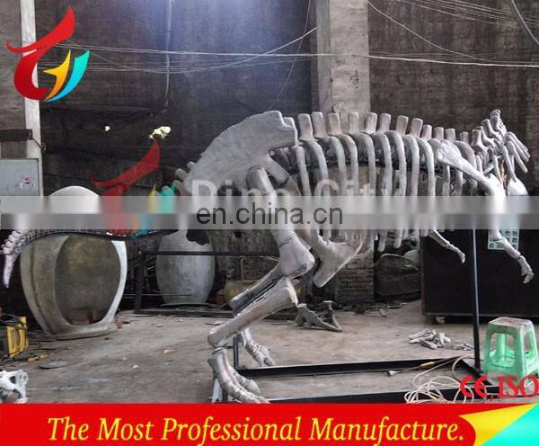 full size high realistic museum quality dinosaur skeleton