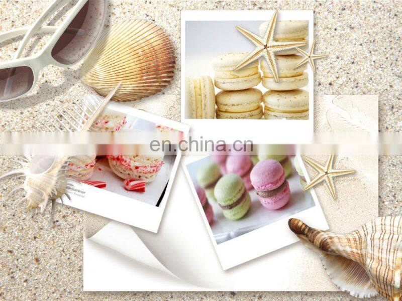 High quality and efficient single spiral freezer for fish seafood