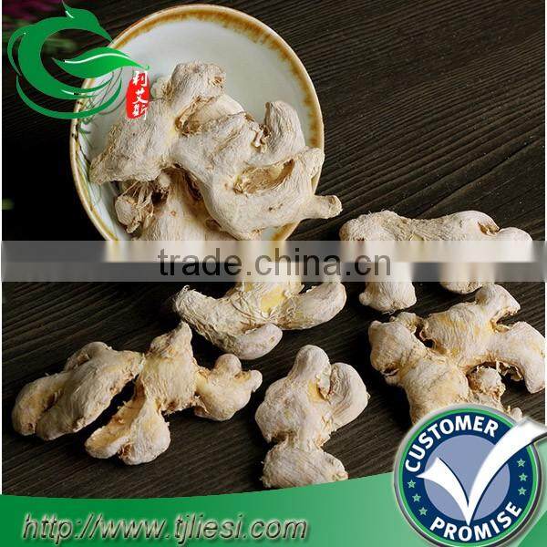 supply ginger roots with low price