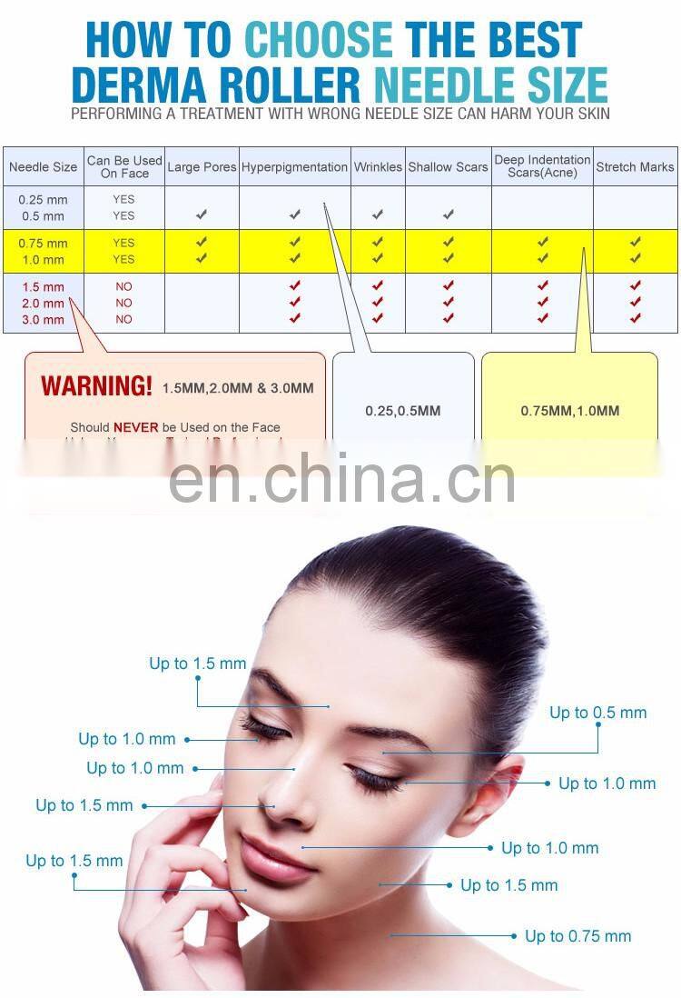 2021  Derma Roller 3 In 1 Micro 192/540/1200 Needles Meso Roller