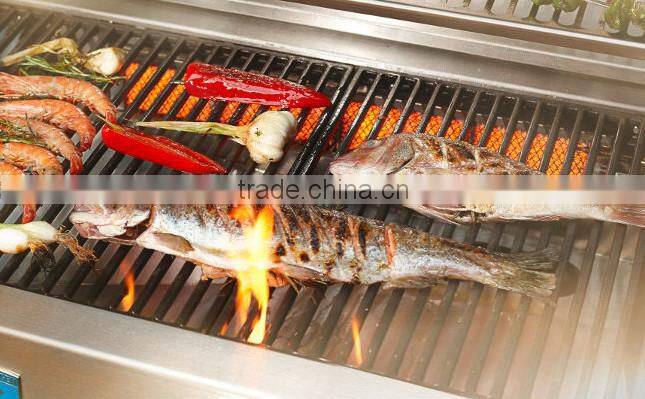 High transaction Catalytic Ceramic Infrared Gas Burner