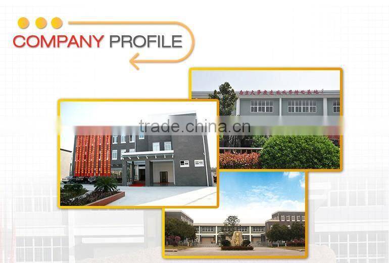 silicone sealant g1200 msds Anti-pollution Flashover Coating