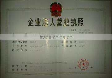 giant inflatable water slide / giant inflatable water slide for adult