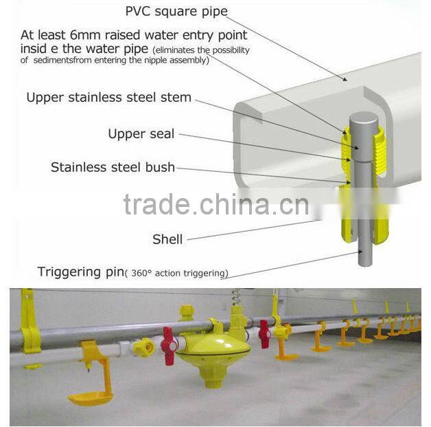 The chicken with a water fountain Chicken water fountain Large chicken with a water fountain