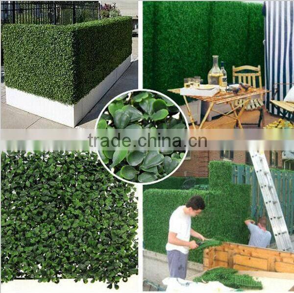 High quality Artificial boxwood panel /mats/hedge for garden wall landscaping
