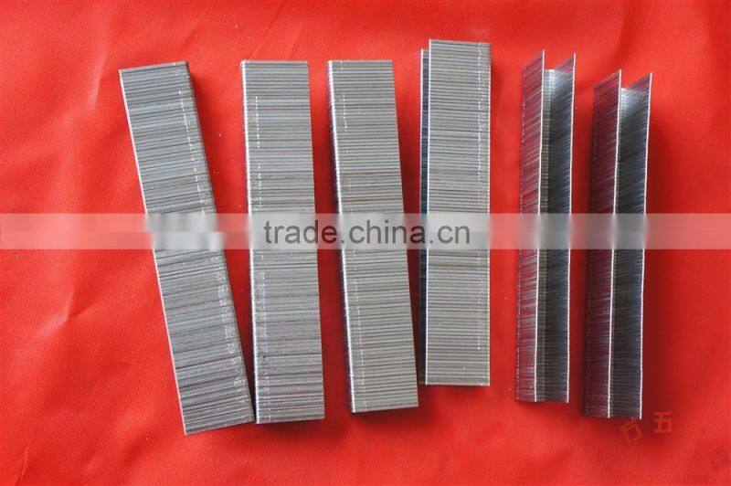 Common Nail Type and Iron Material 1010j china staple
