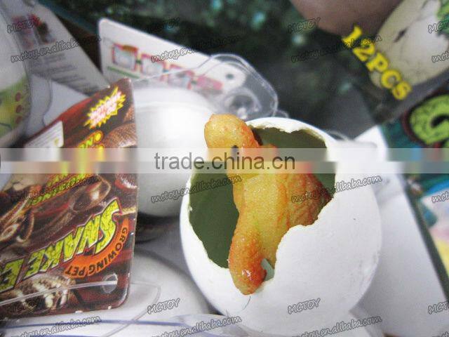 2013 HOT big size magic growing Tortoise chelonian egg children toy wholesale easter