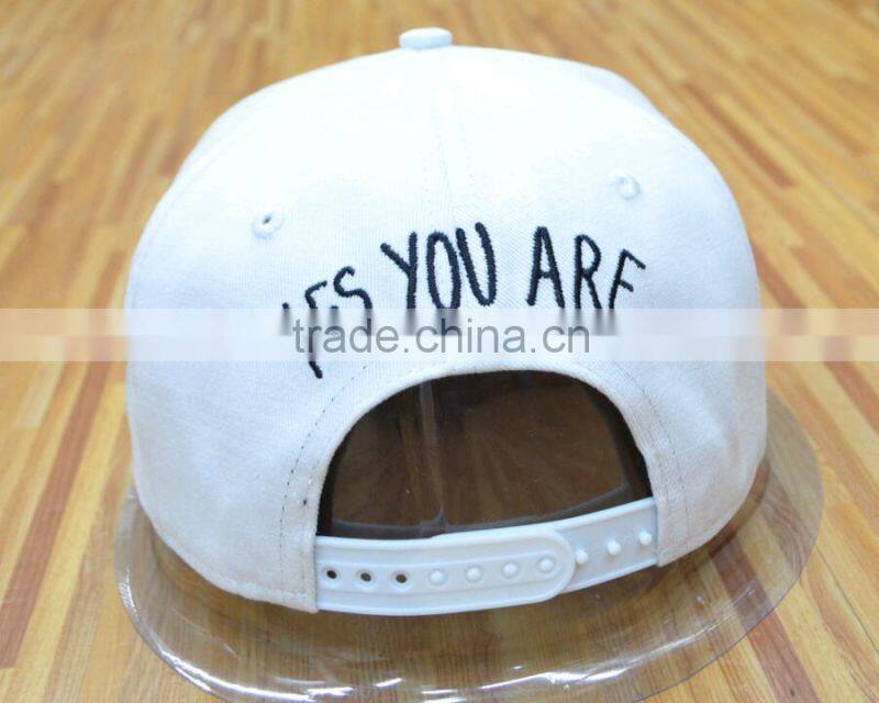 Customize high quality 6 panels 3D embroidery snapback hats and accept small MOQ