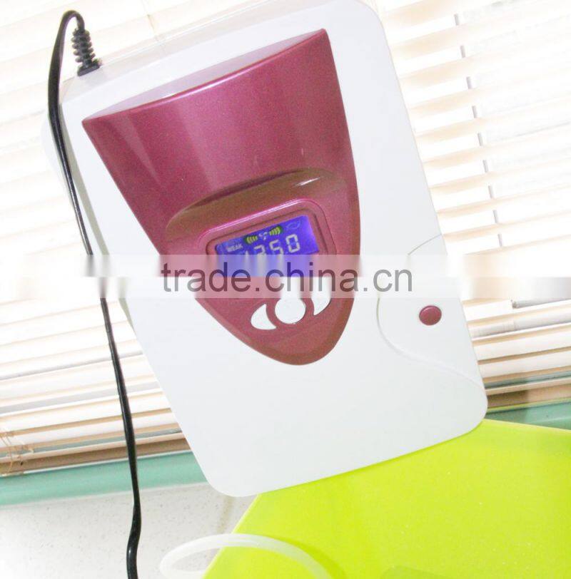high effiency ozone fruit and vegetable purifier detoxification machine