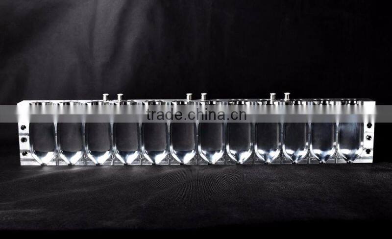 12 Cavity Blow Mold/Mould for PP Infusion Bottle