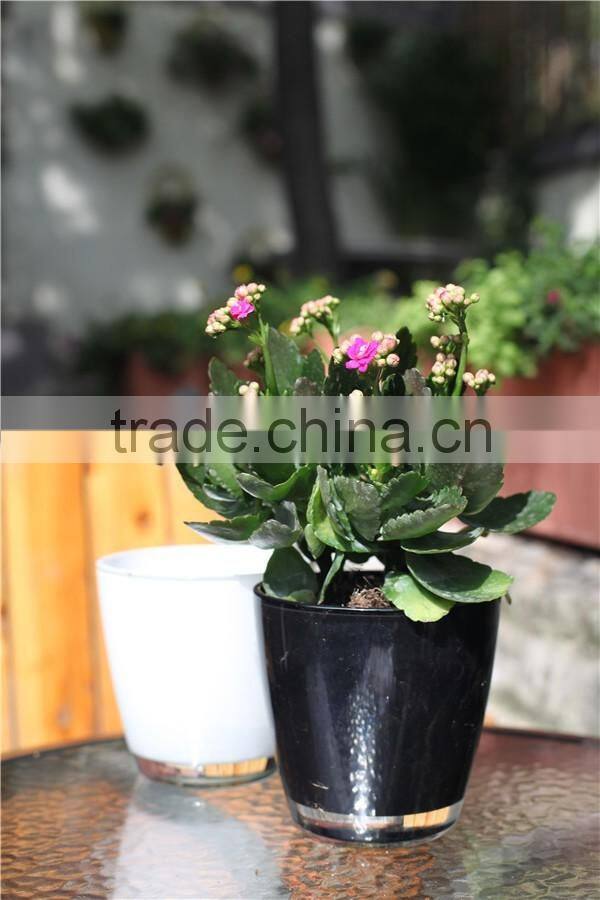 Garden suppliers attractive colorful glass flower pot