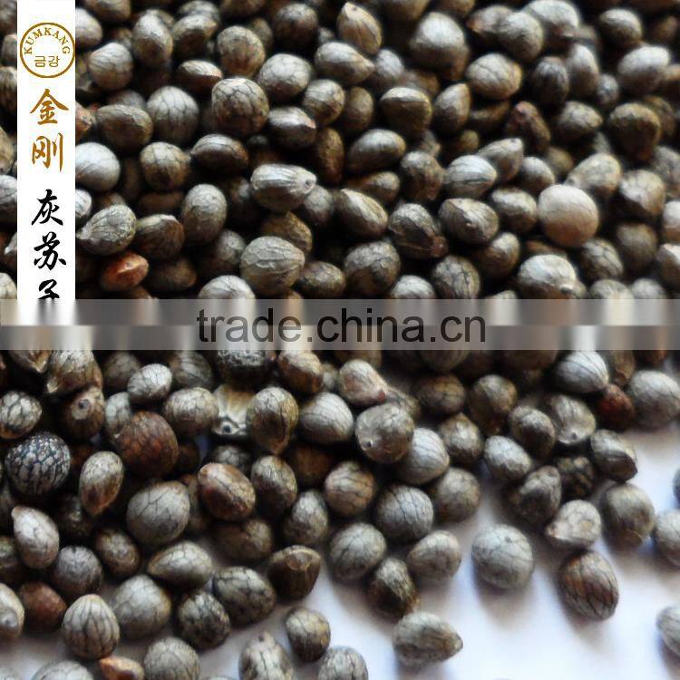 perilla seed for sale
