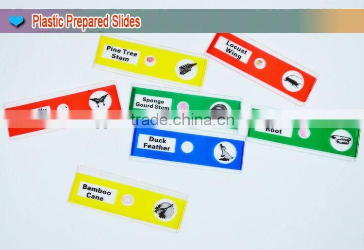 Prepared microscope plastic slides
