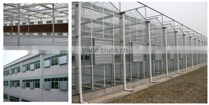 high power stainless steel exhaust fan