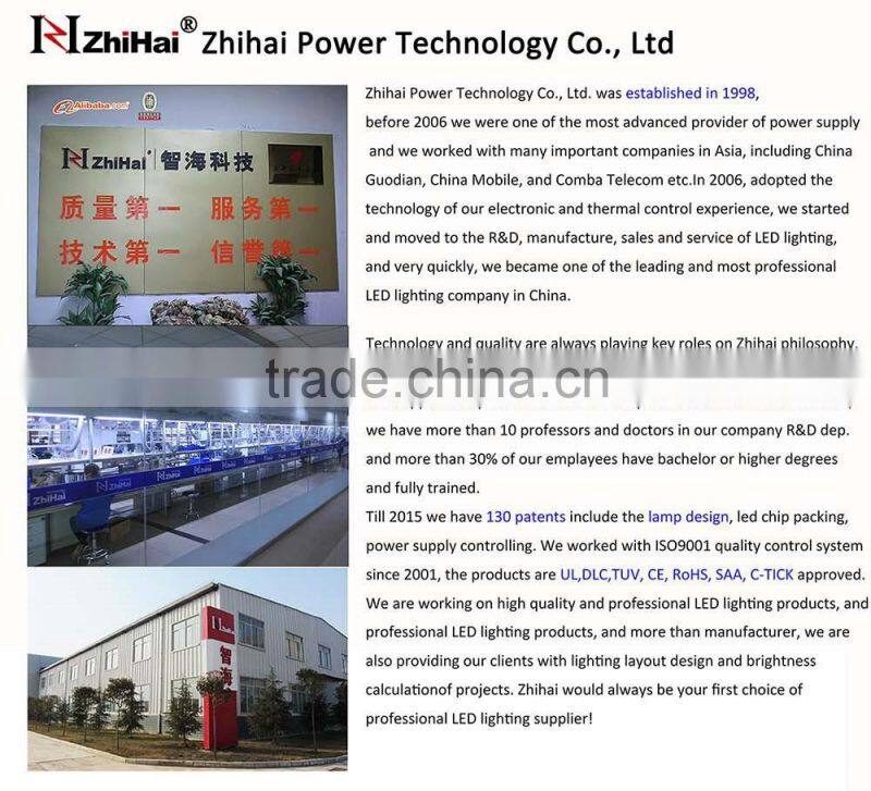 Energy Efficient Osram Super Bright 100w or 120w LED Community Park Walking Light