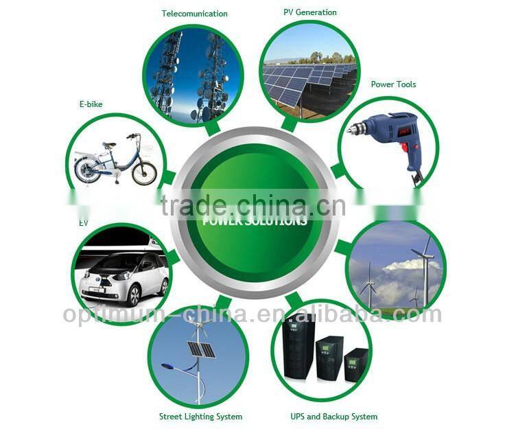 48V 60Ah excellent performance LiFePo4 battery pack different application of e-car/ups