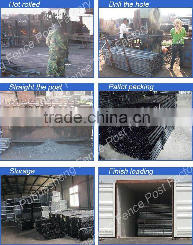 Israel star picket(factory & trader)