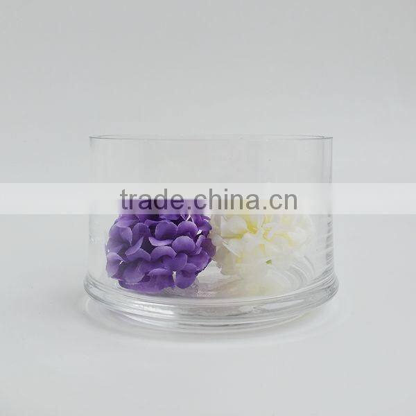 High quality handmade Glass vase for hydroponics