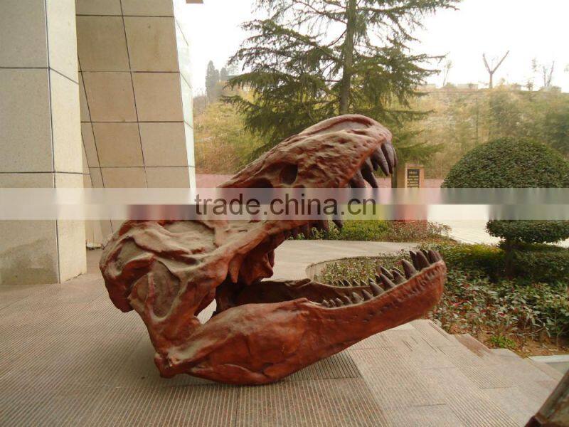 T-rex Head skeleton