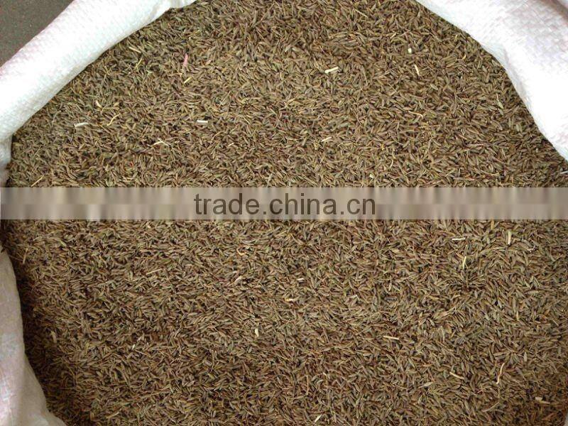 cumin