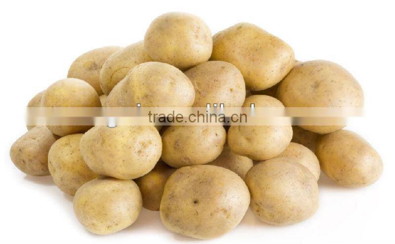 Canned Potato Sliced Canned Vegetables