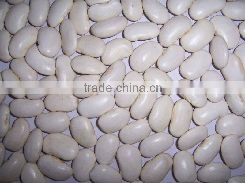 2014 Chinese white kidney bean with cheap price