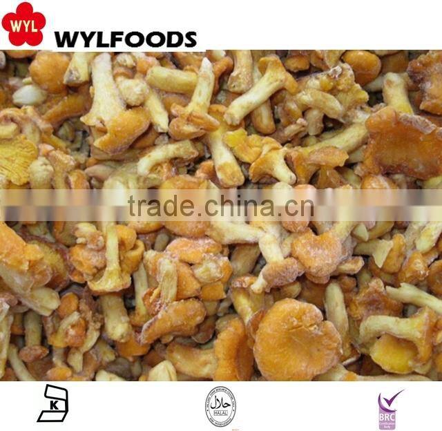 2015 IQF high quality frozen wild Chanterelles