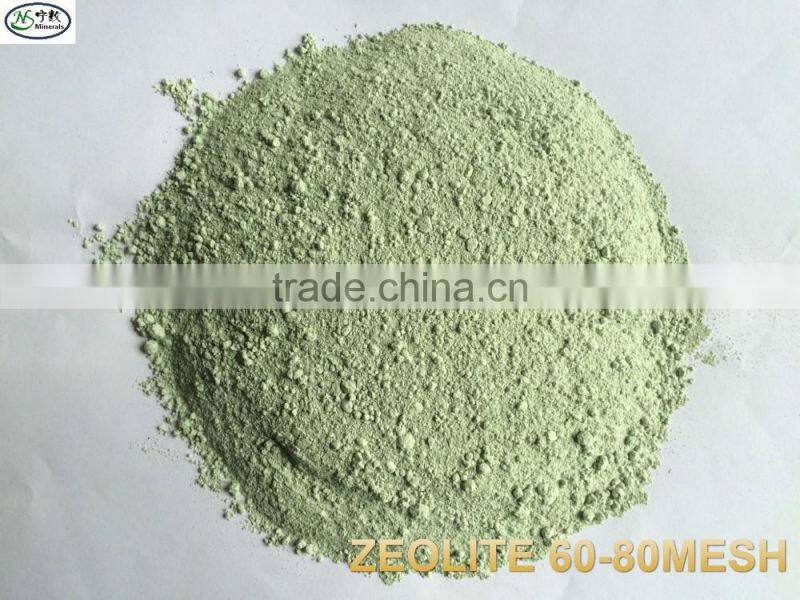 BULK Zeolite ULTRA FINE Natural Organic Mineral Powder Dust CLINOPTILOLITE