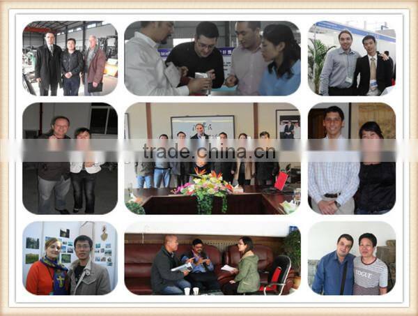 football playground pvc coated/plastic chain link fence