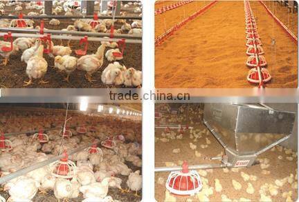 poultry plastic drinker for small chicks broilers