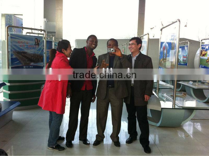 roof/ceiling turbine fan