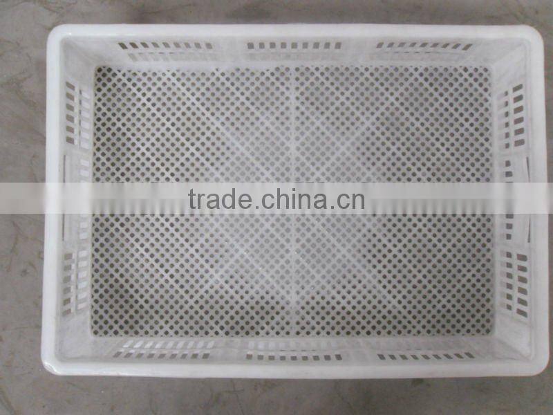 chicken egg basket(200chicks)