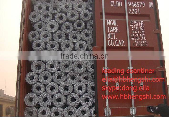 Hot selling galvanized hexagonal wire mesh with low price