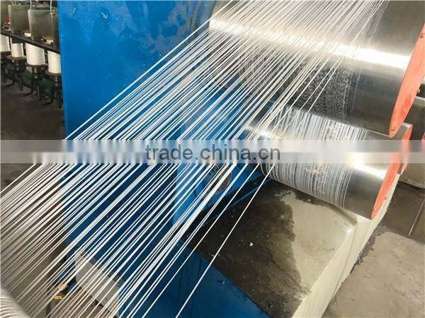 Twist rope PP material Lead rope Sign Rope