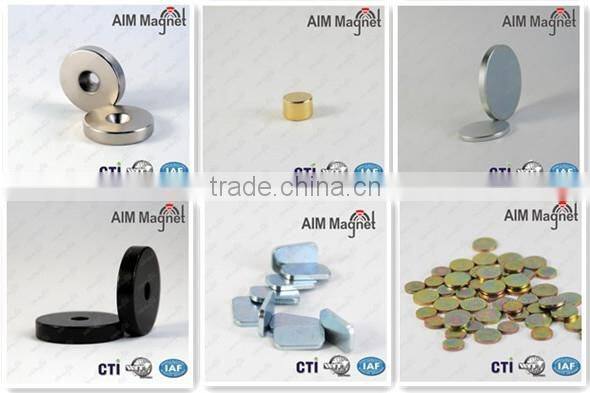 Neodymium Swept Arc Magnets