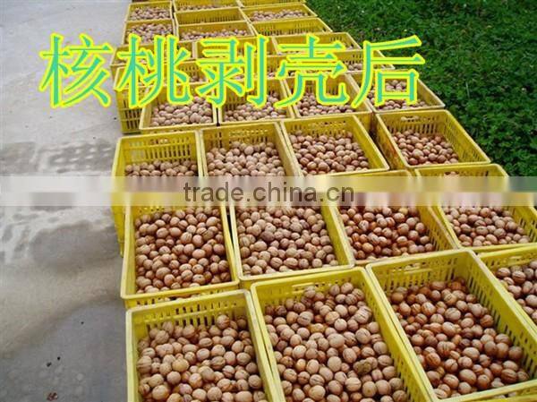 2016 New Type & Hot Sale Mutifunction Nut Peeling Machine
