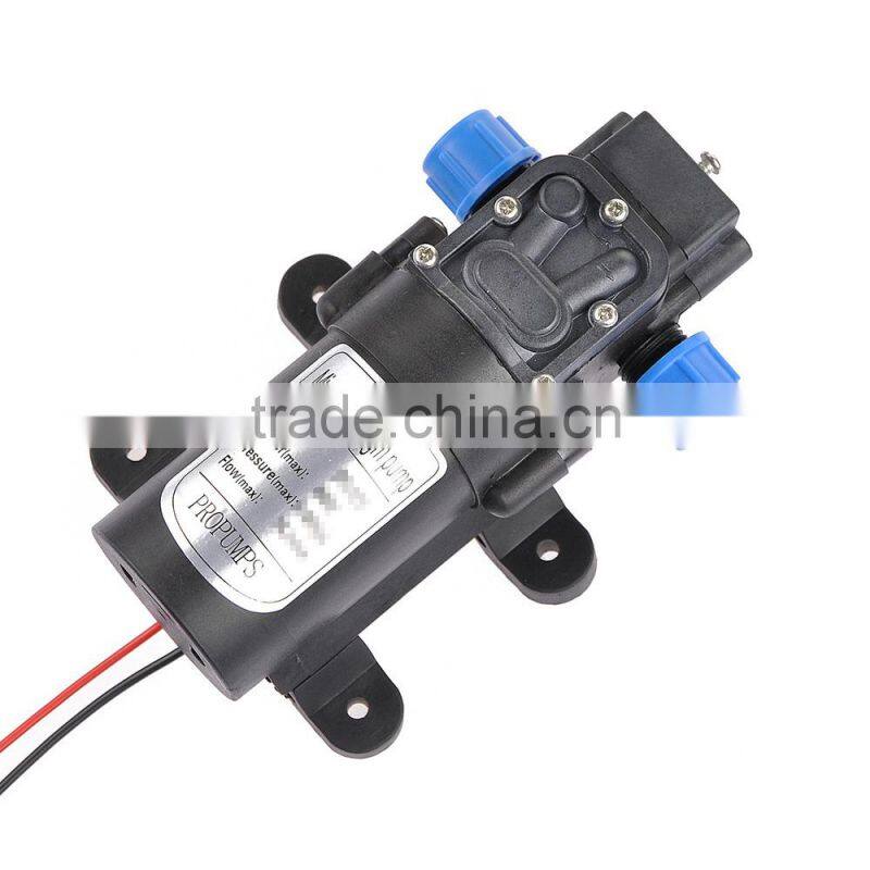 Hot Sale Car Wash Micro Diaphragm High Pressure Water Pump with Automatic Switch