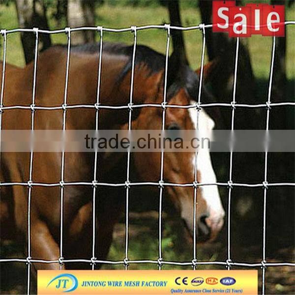 high end hot dipped galvanized cattle mesh fence with reasonable price in store