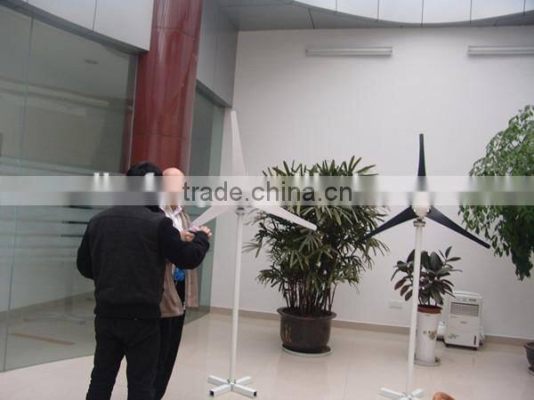 200w wind driven generator/wind turbine generator/wind power generator