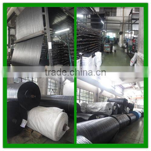 Agricultural greenhouse pp ground cover fabric black weed mat