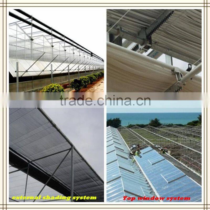Customer design commercial glass greenhouses for roses/strawberry/tomatoes planting