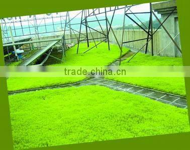 Factory direct sales dimple drainage board