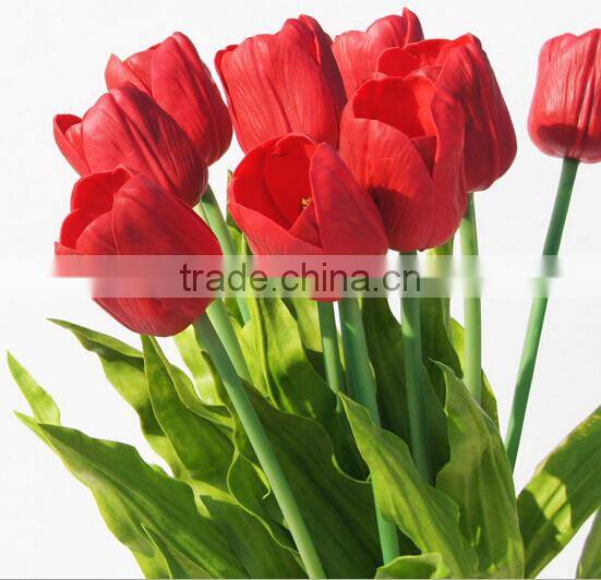 PU Dutch tulip