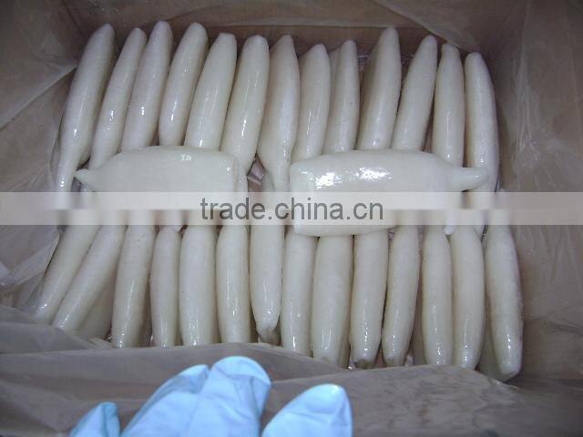 frozen Squid tube-Todarodes Pacificus